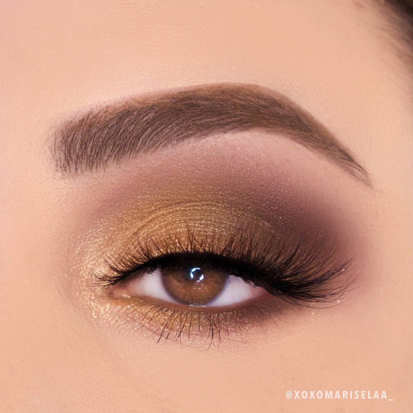 MOIRA - Golden Treasure Palette