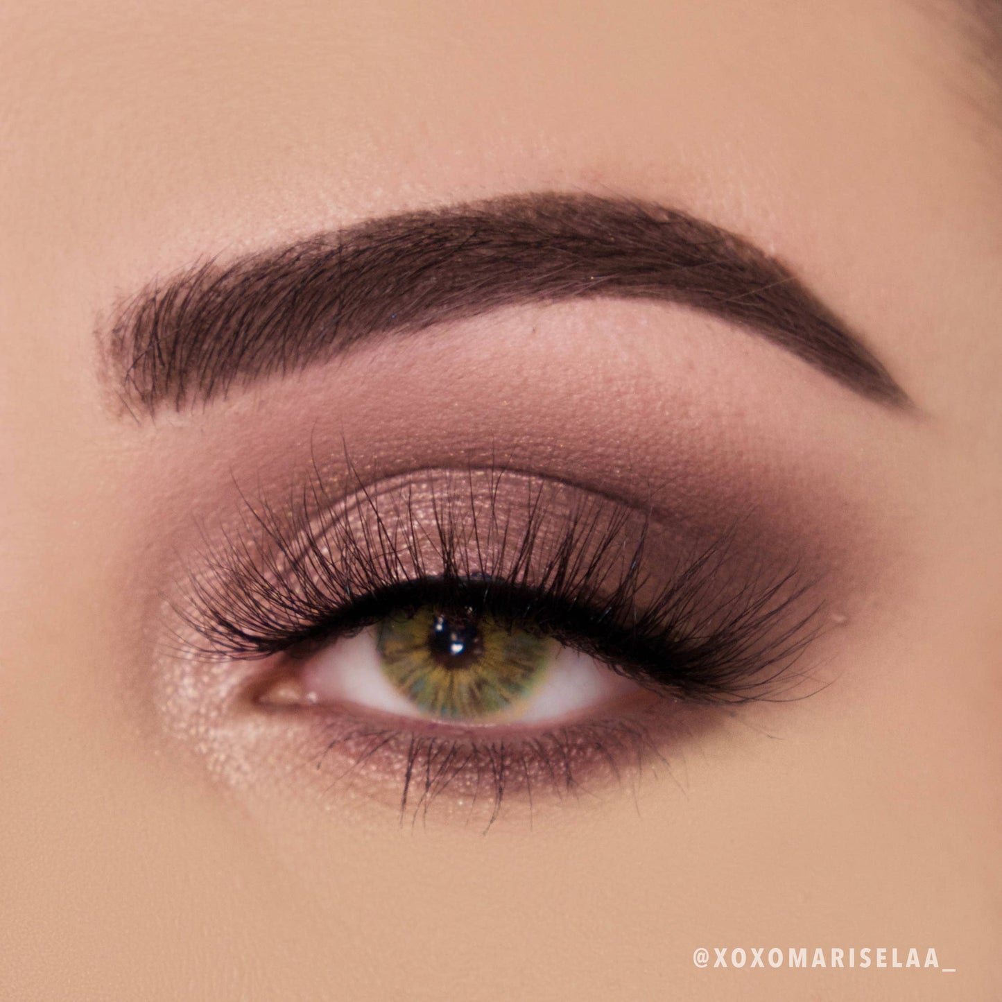 MOIRA - Wineberry Palette