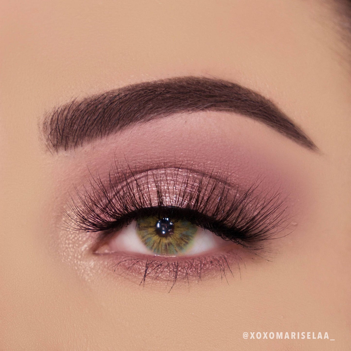 MOIRA - Wineberry Palette